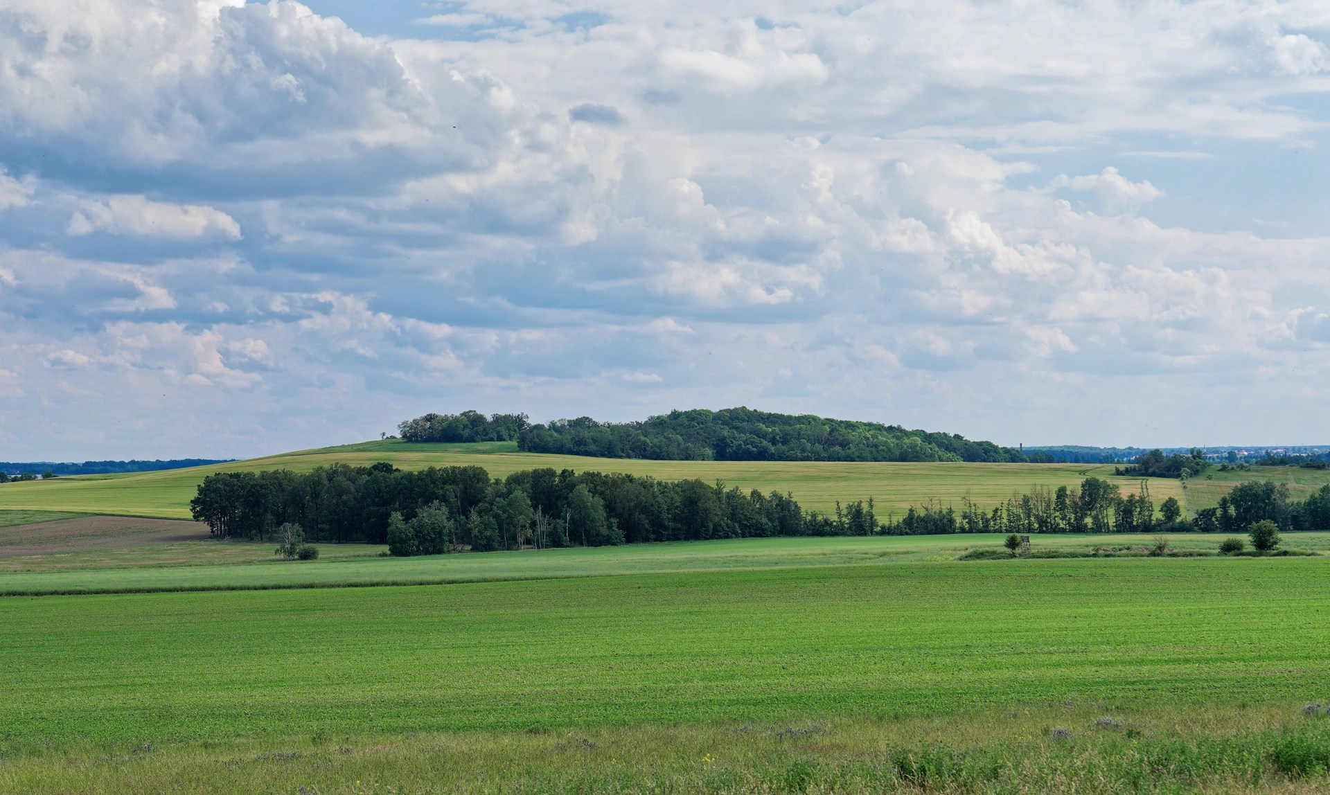 Landschaft bei Klinga nahe Grimma – ruhige Lage der Villa Bleichert nur etwa 30 Minuten von Leipzig entfernt